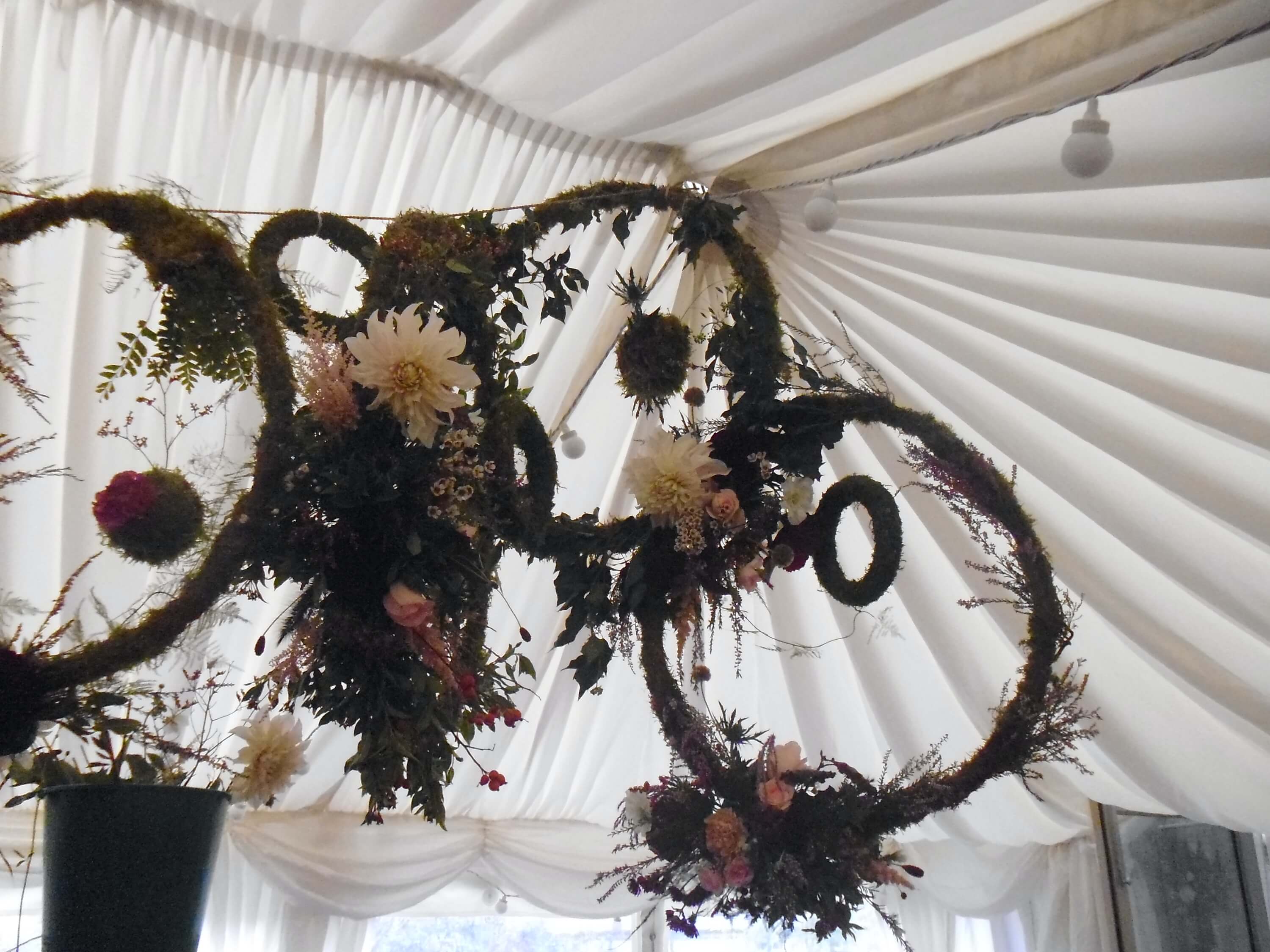 Sustainable creations