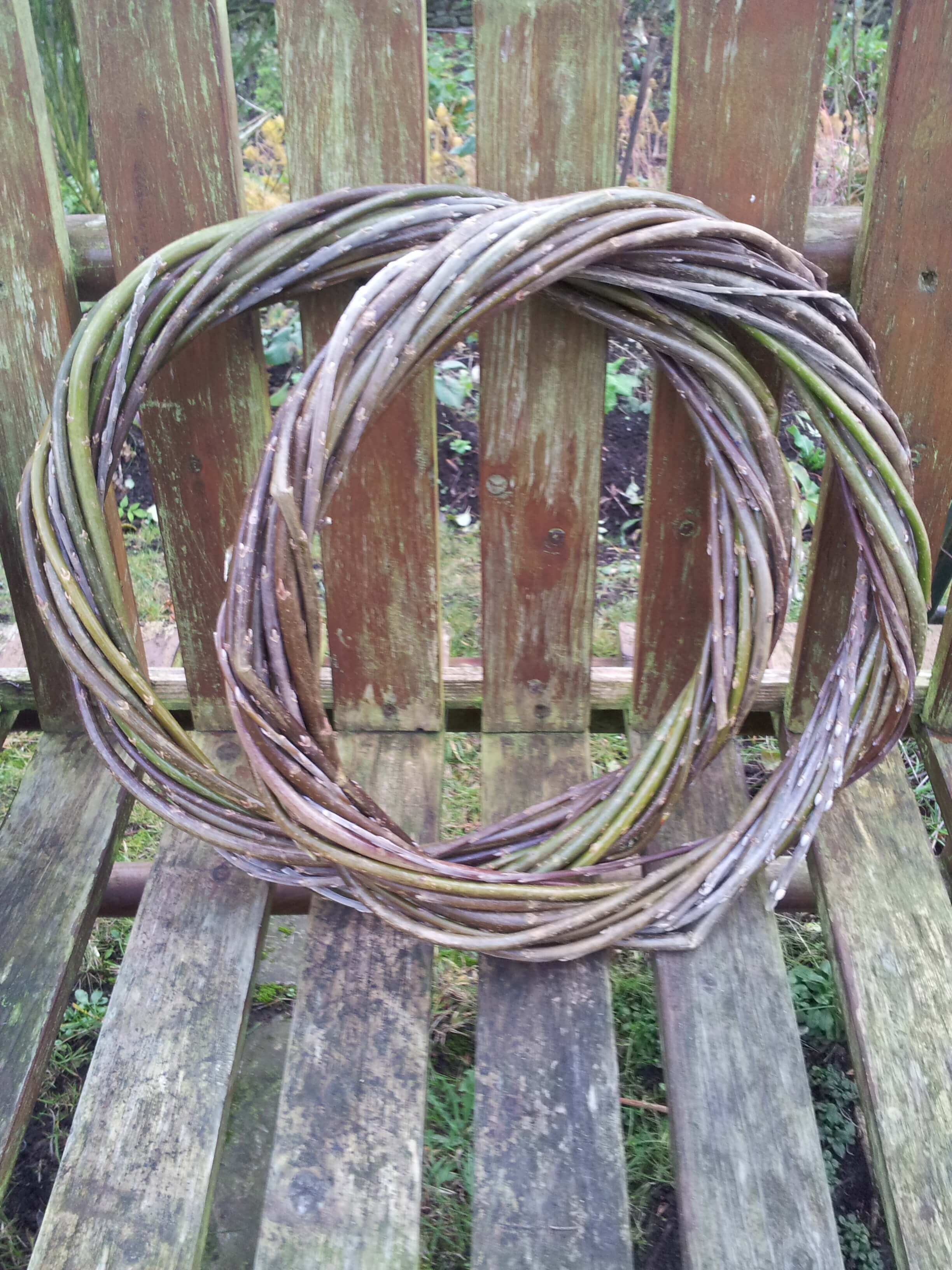 Floral botanical design