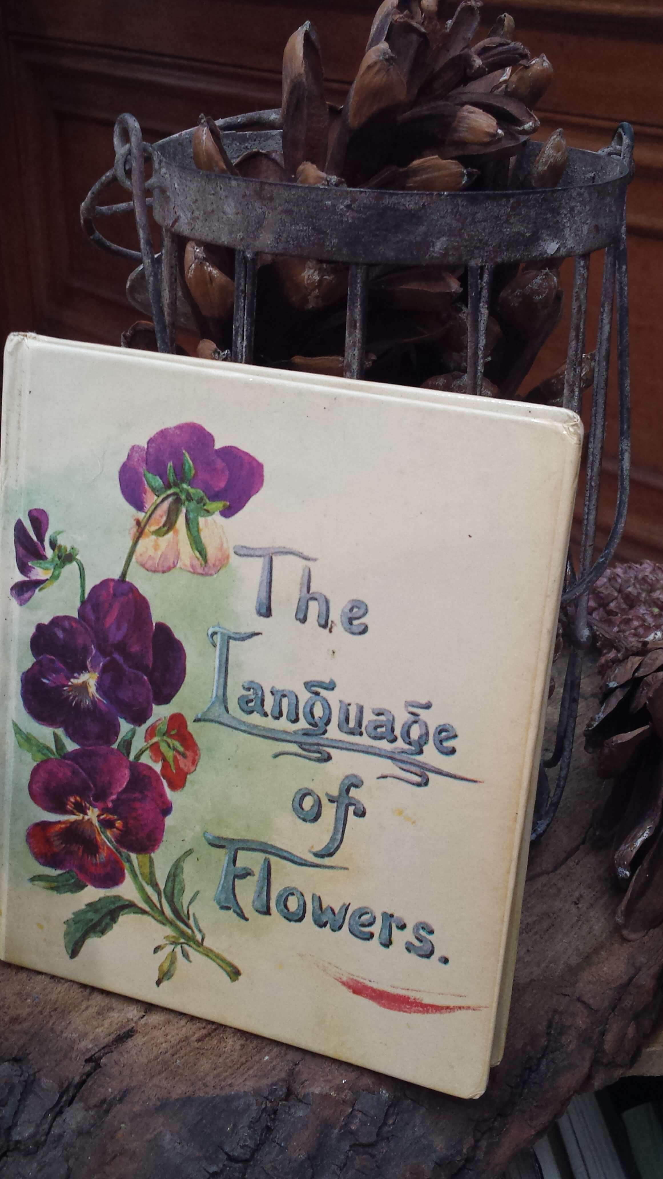 Sustainable creations