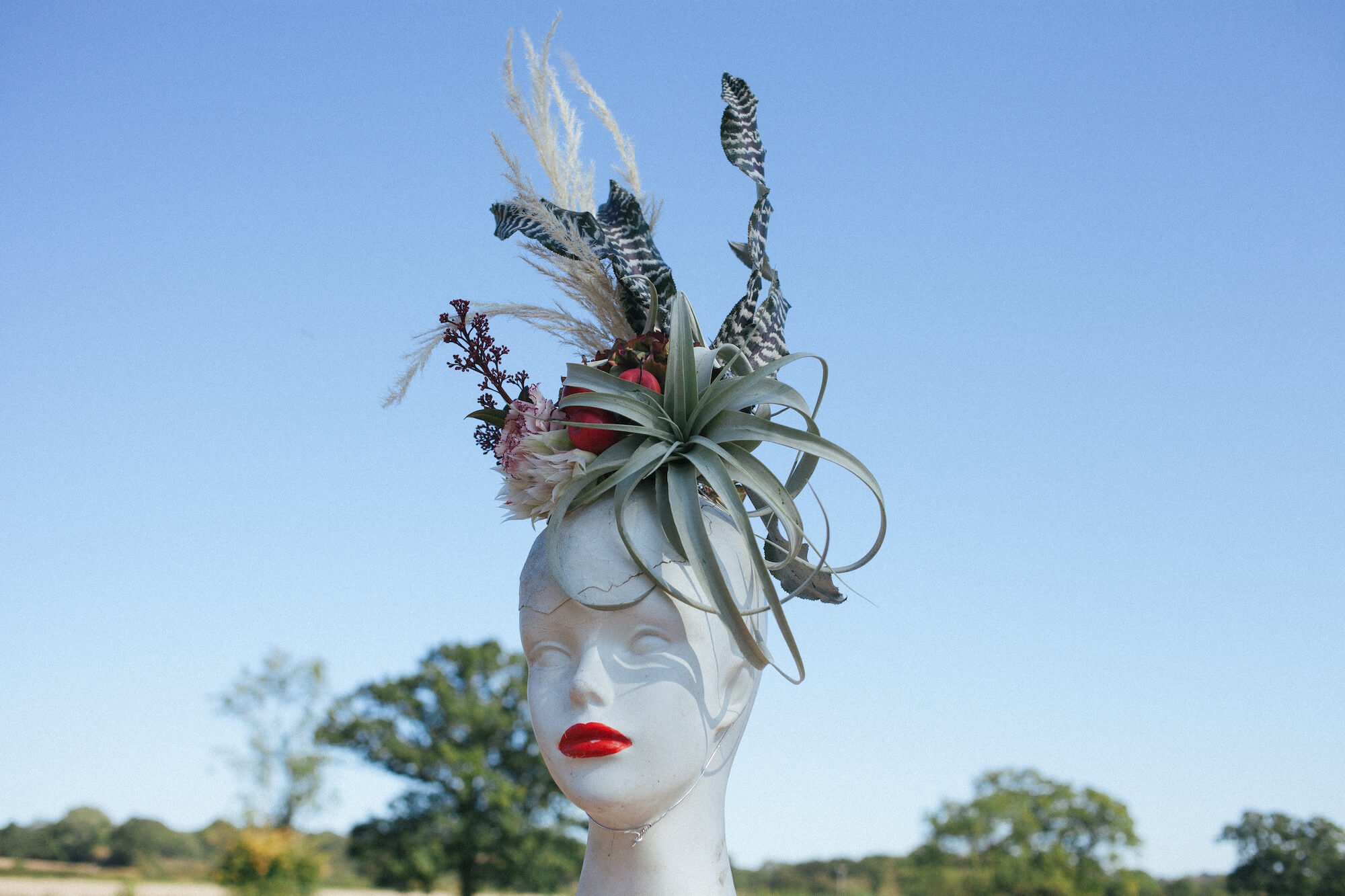 Botanical Wellbeing Workshop